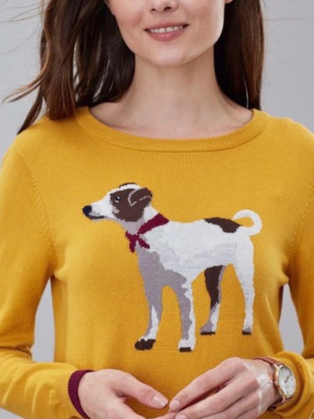NEW Joules Miranda Terrier Crew Neck Sweater Brown Dog US 2 NEW WITH TAGS